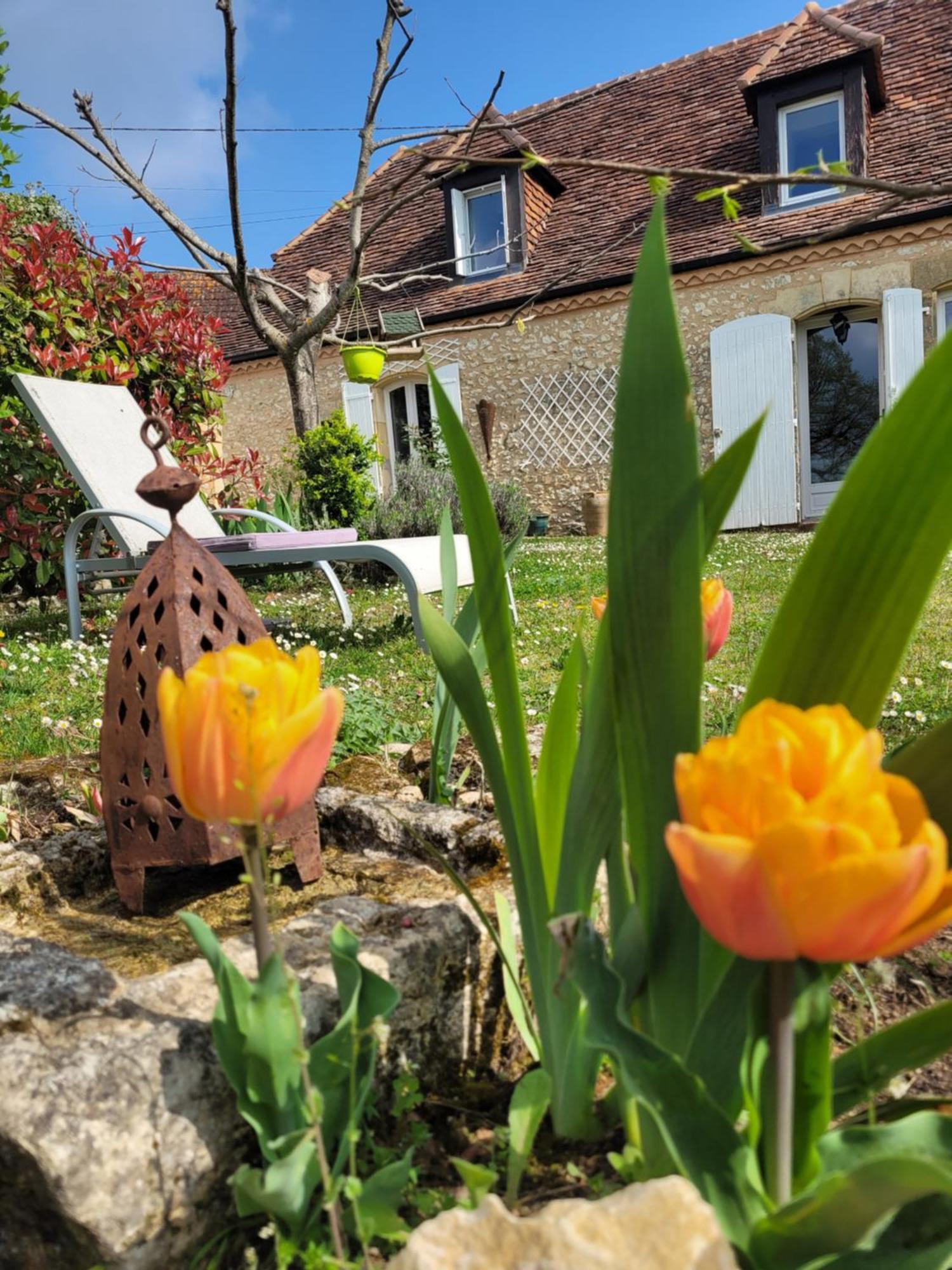 Le Clos Des Etoiles B&B Le Bugue Exterior foto